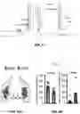 Fig. 17 - Method and pharmaceutical composition for treating depression
