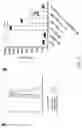 Fig. 09 - Methods and materials for treating cytokine release syndrome