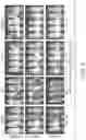 Fig. 07 - Immunomodulatory and differentiating function selective retinoid and rexinoid compounds in combination with immune modulators for cancer immunotherapy