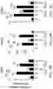 Fig. 09 - Immunomodulatory and differentiating function selective retinoid and rexinoid compounds in combination with immune modulators for cancer immunotherapy