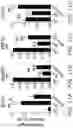Fig. 12 - Immunomodulatory and differentiating function selective retinoid and rexinoid compounds in combination with immune modulators for cancer immunotherapy