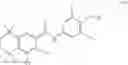 Fig. 29 - Immunomodulatory and differentiating function selective retinoid and rexinoid compounds in combination with immune modulators for cancer immunotherapy