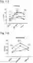 Fig. 03 - Composition for improving vascular endothelial function