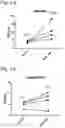 Fig. 04 - Composition for improving vascular endothelial function