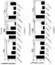 Fig. 07 - Methods and compositions for preventing and treating auditory dysfunctions