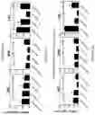 Fig. 08 - Methods and compositions for preventing and treating auditory dysfunctions