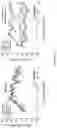 Fig. 12 - Methods and compositions for preventing and treating auditory dysfunctions