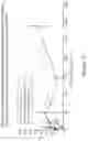 Fig. 18 - SOLID COMPOSITIONS OF TRIGLYCERIDES AND USES THEREOF