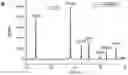 Fig. 01 - Pharmaceutical composition for treating liver cancer, comprising tetraarsenic hexoxide crystalline polymorph