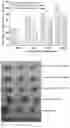 Fig. 04 - Pharmaceutical composition for treating liver cancer, comprising tetraarsenic hexoxide crystalline polymorph