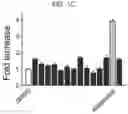 Fig. 04 - Composition for BKchannel activation
