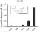 Fig. 06 - Composition for BKchannel activation