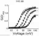 Fig. 12 - Composition for BKchannel activation