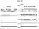 Fig. 18 - Composition for BKchannel activation