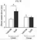 Fig. 22 - Composition for BKchannel activation