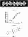 Fig. 02 - Compounds and methods for the treatment of microbial infections
