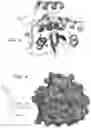 Fig. 07 - Compositions and methods of Rit1 inhibition