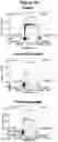 Fig. 05 - Methods of using substituted pyrazole and pyrazole compounds and for treatment of hyperproliferative diseases