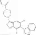 Fig. 323 - KRAS G12C inhibitors and methods of using the same