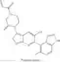 Fig. 707 - KRAS G12C inhibitors and methods of using the same