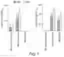 Fig. 02 - METHODS OF ADMINISTERING IMMUNOSUPPRESSANTS HAVING A SPECIFIED PHARMACODYNAMIC EFFECTIVE LIFE AND THERAPEUTIC MACROMOLECULES FOR THE INDUCTION OF IMMUNE TOLERANCE