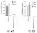 Fig. 09 - METHODS COMPRISING DOSING COMBINATIONS FOR REDUCING UNDESIRED HUMORAL IMMUNE RESPONSES