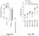 Fig. 10 - METHODS COMPRISING DOSING COMBINATIONS FOR REDUCING UNDESIRED HUMORAL IMMUNE RESPONSES