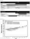 Fig. 06 - Methods of using a phenoxypropylamine compound to treat pain