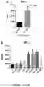 Fig. 04 - Oxabicycloheptanes for modulation of immune response