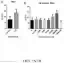 Fig. 08 - Oxabicycloheptanes for modulation of immune response
