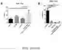 Fig. 24 - Oxabicycloheptanes for modulation of immune response