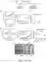Fig. 26 - Oxabicycloheptanes for modulation of immune response