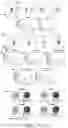 Fig. 28 - Oxabicycloheptanes for modulation of immune response