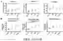 Fig. 32 - Oxabicycloheptanes for modulation of immune response