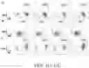 Fig. 34 - Oxabicycloheptanes for modulation of immune response