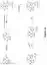Fig. 11 - CANNABINOID RECEPTOR MODULATORS