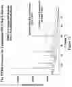 Fig. 13 - CANNABINOID RECEPTOR MODULATORS