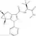 Fig. 24 - CANNABINOID RECEPTOR MODULATORS
