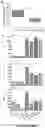 Fig. 08 - PARP-1 and methods of use thereof