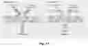 Fig. 16 - PARP-1 and methods of use thereof