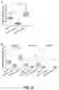 Fig. 37 - PARP-1 and methods of use thereof