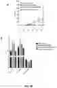 Fig. 56 - PARP-1 and methods of use thereof