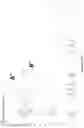 Fig. 09 - Texaphyrin-Pt(IV) conjugates and compositions for use in overcoming platinum resistance