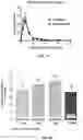 Fig. 20 - Vaginal inserted estradiol pharmaceutical compositions and methods