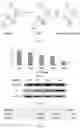 Fig. 02 - Pharmaceutical compounds and uses thereof