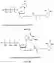 Fig. 04 - Nucleotide derivatives and methods of use thereof
