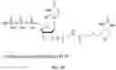 Fig. 05 - Nucleotide derivatives and methods of use thereof