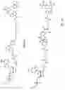 Fig. 10 - Nucleotide derivatives and methods of use thereof