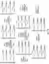 Fig. 101 - Nucleotide derivatives and methods of use thereof