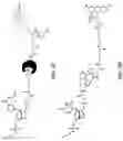 Fig. 11 - Nucleotide derivatives and methods of use thereof